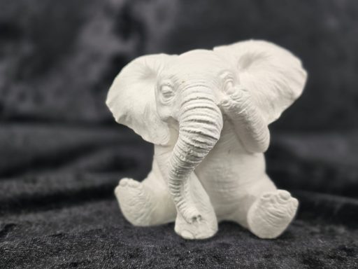 533 - Elefant augen zu