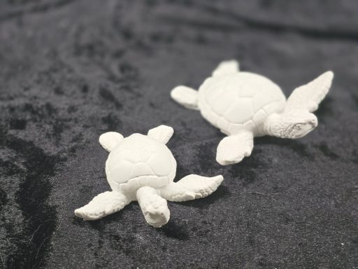 507 u. 507A - Wasserschildkröte